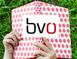 BVÖ_Bild_und_Logo