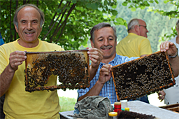 600 Gäste bei Tag des offenen Bienenstocks